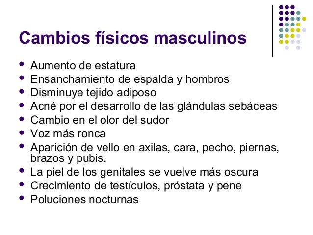 Los aumentos del pene penimaster pro