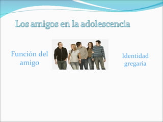 Función del   Identidad
  amigo        gregaria
 