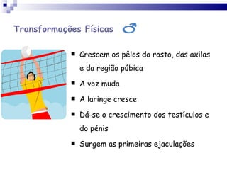 Transformações Físicas Crescem os pêlos do rosto, das axilas e da região púbica A voz muda A laringe cresce Dá-se o crescimento dos testículos e do pénis Surgem as primeiras ejaculações 