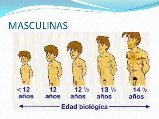 Que tal el acné como curar