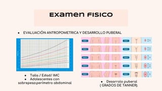 Examen fisico
● EVALUACIÓN ANTROPOMETRICA Y DESARROLLO PUBERAL
● Talla / Edad/ IMC
● Adolescentes con
sobrepeso:perímetro abdominal ● Desarrolo puberal
( GRADOS DE TANNER).
 