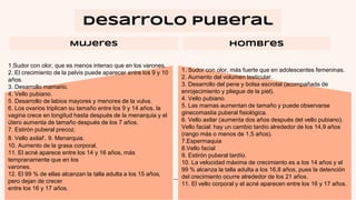 Mujeres Hombres
Desarrolo puberal
1.Sudor con olor, que es menos intenso que en los varones.
2. El crecimiento de la pelvis puede aparecer entre los 9 y 10
años.
3. Desarrollo mamario.
4. Vello pubiano.
5. Desarrollo de labios mayores y menores de la vulva.
6. Los ovarios triplican su tamaño entre los 9 y 14 años, la
vagina crece en longitud hasta después de la menarquia y el
útero aumenta de tamaño después de los 7 años.
7. Estirón puberal precoz.
8. Vello axilar. 9. Menarquia.
10. Aumento de la grasa corporal.
11. El acné aparece entre los 14 y 16 años, más
tempranamente que en los
varones.
12. El 99 % de ellas alcanzan la talla adulta a los 15 años,
pero dejan de crecer
entre los 16 y 17 años.
1. Sudor con olor, más fuerte que en adolescentes femeninas.
2. Aumento del volumen testicular.
3. Desarrollo del pene y bolsa escrotal (acompañada de
enrojecimiento y pliegue de la piel).
4. Vello pubiano.
5. Las mamas aumentan de tamaño y puede observarse
ginecomastia puberal fisiológica.
6. Vello axilar (aumenta dos años después del vello pubiano).
Vello facial: hay un cambio tardío alrededor de los 14,9 años
(rango más o menos de 1,5 años).
7.Espermaquia
8.Vello facial
9. Estirón puberal tardío.
10. La velocidad máxima de crecimiento es a los 14 años y el
99 % alcanza la talla adulta a los 16,8 años, pues la detención
del crecimiento ocurre alrededor de los 21 años.
11. El vello corporal y el acné aparecen entre los 16 y 17 años.
 