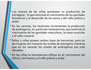 •Los ovarios de las niñas aumentan su producción de
estrógeno , lo que estimula el crecimiento de los genitales
femeninos y el desarrollo de los senos y del vello púbico y
axilar.
•En los varones, los testículos incrementan la producción
de andrógenos, en particular testosterona, que estimula el
crecimiento de los genitales masculinos, la masa muscular
y el vello corporal.
•Niños y niñas poseen ambos tipos de hormonas, pero en
las mujeres son mayores los niveles de estrógeno mientras
que en los varones los niveles de andrógenos son más
elevados.
•En las niñas la testosterona influye en el crecimiento del
clítoris, los huesos y el vello púbico y axilar
 