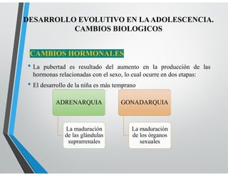 CAMBIOS HORMONALES
• La pubertad es resultado del aumento en la producción de las
hormonas relacionadas con el sexo, lo cual ocurre en dos etapas:
• El desarrollo de la niña es más temprano
ADRENARQUIA
La maduración
de las glándulas
suprarrenales
GONADARQUIA
La maduración
de los órganos
sexuales
DESARROLLO EVOLUTIVO EN LAADOLESCENCIA.
CAMBIOS BIOLOGICOS
 