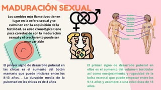 MADURACIÓN SEXUAL
Los cambios más llamativos tienen
lugar en la esfera sexual y se
culminan con la adquisición de la
fertilidad. La edad cronológica tiene
poca correlación con la maduración
sexual y el crecimiento puede ser
muy variable
El primer signo de desarrollo puberal en
las chicas es el aumento del botón
mamario que puede iniciarse entre los
8-13 años. . La duración media de la
pubertad en las chicas es de 4 años
El primer signo de desarrollo puberal en
ellos es el aumento del volumen testicular
así como enrojecimiento y rugosidad de la
bolsa escrotal que puede empezar entre los
9-14 años y acontece a una edad ósea de 13
años.
 