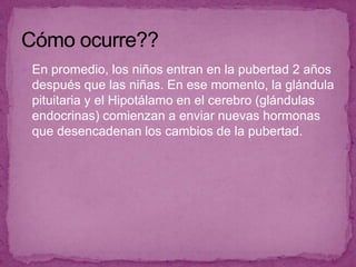  desarrollo biológico, se establece forma corporal y el funcionamiento psico –sexual del adulto.