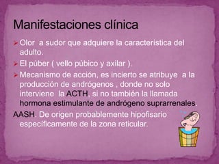 En esta etapa se consolida a través de la identidad del *yo*  y de la capacidad  de intimidad, aquí existe una separación del sujeto del sistema escolar, la capacidad para trabajar y crear su propia autonomía económica que le permite separarse de su padres.Adolescencia tardía  o fase juvenil.