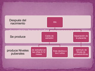 Cómo ocurre??En promedio, los niños entran en la pubertad 2 años después que las niñas. En ese momento, la glándula pituitaria y el Hipotálamo en el cerebro (glándulas endocrinas) comienzan a enviar nuevas hormonas que desencadenan los cambios de la pubertad.