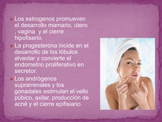 Cambios el eje hipotálamo- hipófisis-adrenal (adrenarquia)