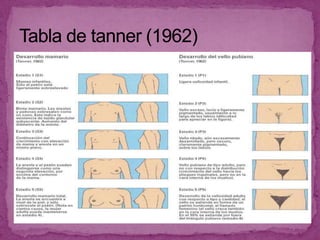 Hipotálamo- hipófisis- gonadal. (gonadonarquia)Pubertad