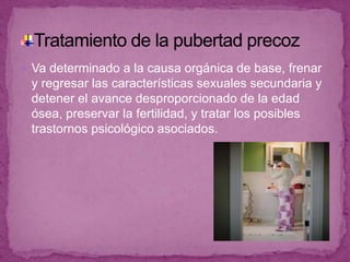 Luego comienza a operar un mecanismo de retroalimentación  negativa  que ejerce los esteroides sexuales producidos  por la unidad  feto placentaria , lo que explica que el recién nacido presente niveles  no detectable de FSH y LH.