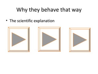 Why they behave that way
• The scientific explanation

 