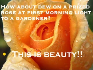 How about dew on a prized rose at first morning light to a gardener? This is beauty!! 