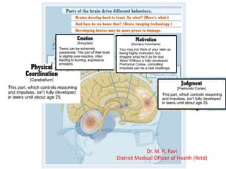 Adolescent brain | PPTX