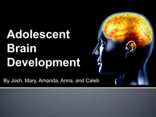 Adolescent Brain Development By Josh, Mary, Amanda, Anna, and Caleb 
