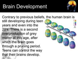 Brain Development<br />Contrary to previous beliefs, the human brain is<br />still developing during teen years and even i...