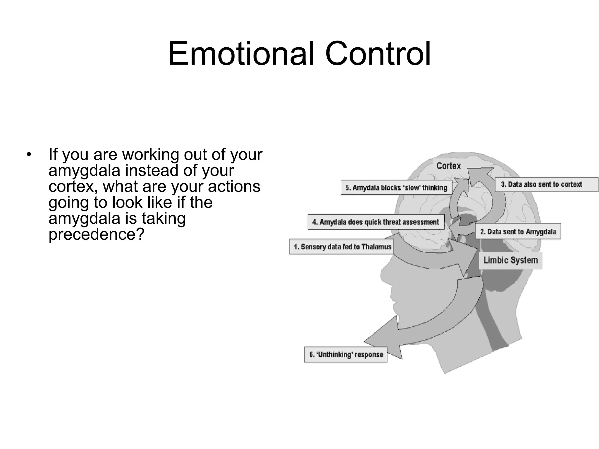 Emotional Control

• If you are working out of your
  amygdala instead of your
  cortex, what are your actions
  going to look like if the
  amygdala is taking
  precedence?
 