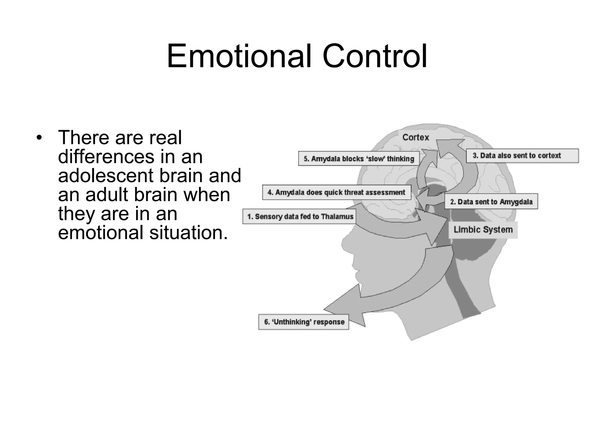 Emotional Control

• There are real
  differences in an
  adolescent brain and
  an adult brain when
  they are in an
  emotional situation.
 