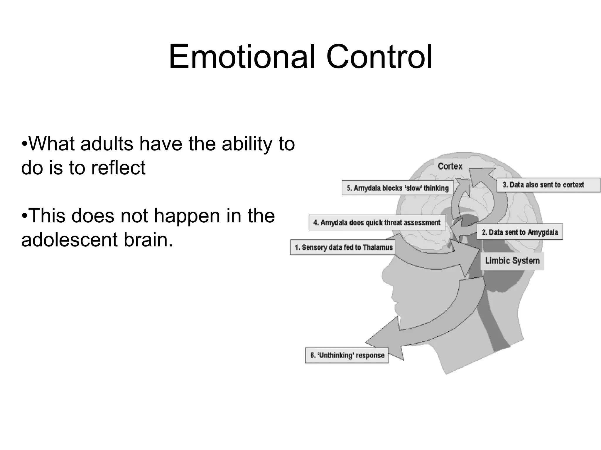 Emotional Control

•What adults have the ability to
do is to reflect

•This does not happen in the
adolescent brain.
 