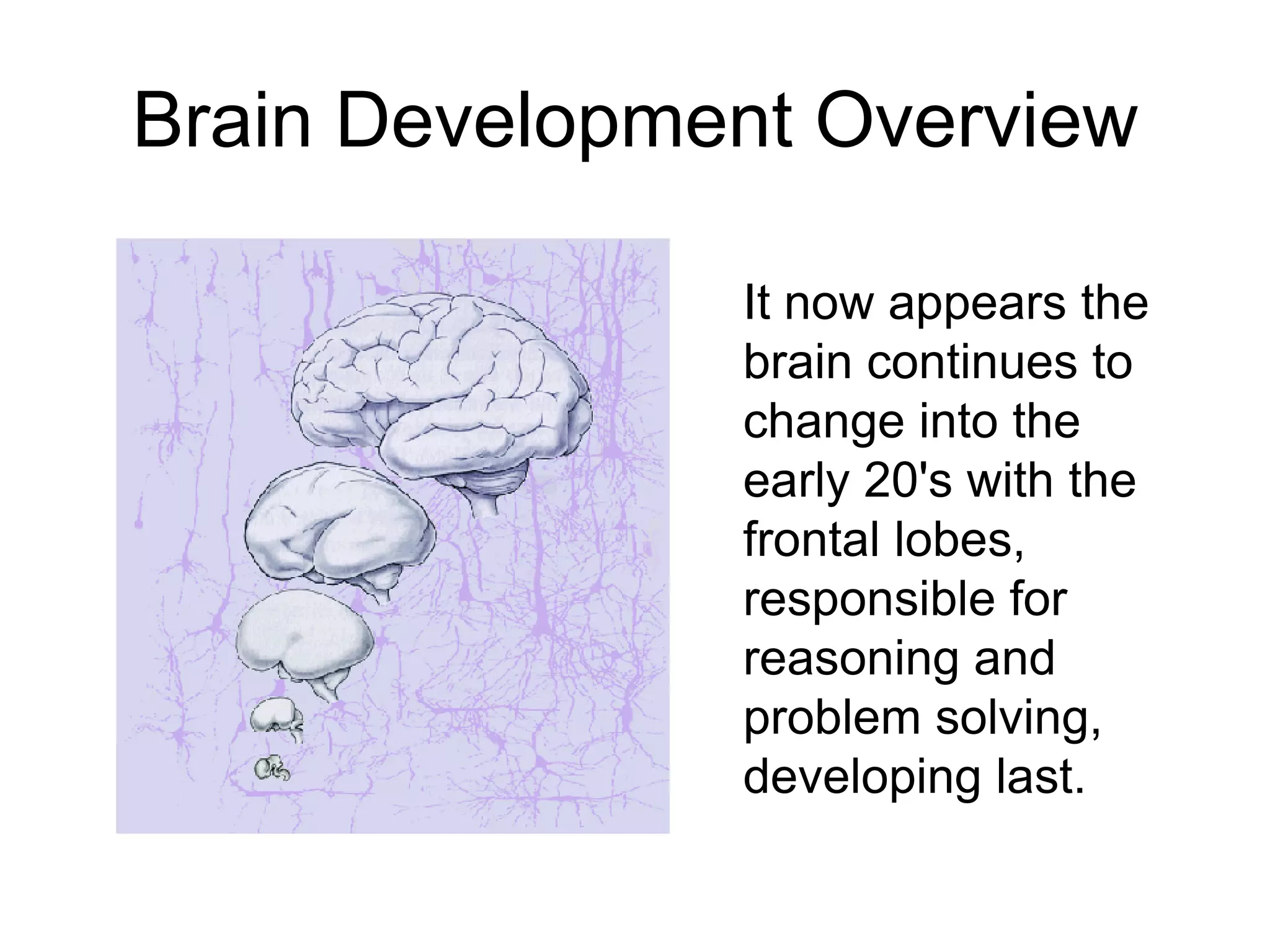 Brain Development Overview

               It now appears the
               brain continues to
               change into the
               early 20's with the
               frontal lobes,
               responsible for
               reasoning and
               problem solving,
               developing last.
 