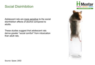 The Developing Brain, Adolescence and Vulnerability to Drug Abuse | PDF