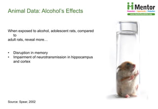 The Developing Brain, Adolescence and Vulnerability to Drug Abuse | PDF