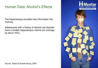 The Developing Brain, Adolescence and Vulnerability to Drug Abuse | PDF