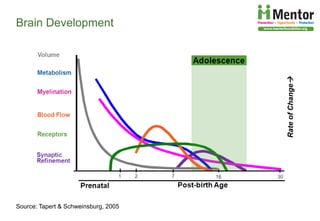 The Developing Brain, Adolescence and Vulnerability to Drug Abuse | PDF