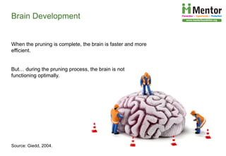 The Developing Brain, Adolescence and Vulnerability to Drug Abuse | PDF