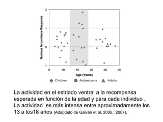 La actividad en el estriado ventral a la recompensa
esperada en función de la edad y para cada individuo .
La actividad es más intensa entre aproximadamente los
13 a los18 años (Adaptado de Galván et al, 2006.; 2007).
 