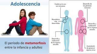 El período de metamorfosis
entre la infancia y adultez
Adolescencia
 
