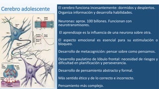 Cerebro adolescente El cerebro funciona incesantemente: dormidos y despiertos.
Organiza información y desarrolla habilidades.
Neuronas: aprox. 100 billones. Funcionan con
neurotransmisores.
El aprendizaje es la influencia de una neurona sobre otra.
El aspecto emocional es esencial para su estimulación o
bloqueo.
Desarrollo de metacognición: pensar sobre como pensamos.
Desarrollo paulatino de lóbulo frontal: necesidad de riesgos y
dificultad en planificación y perseverancia.
Desarrollo de pensamiento abstracto y formal.
Más sentido ético y de lo correcto e incorrecto.
Pensamiento más complejo.
 