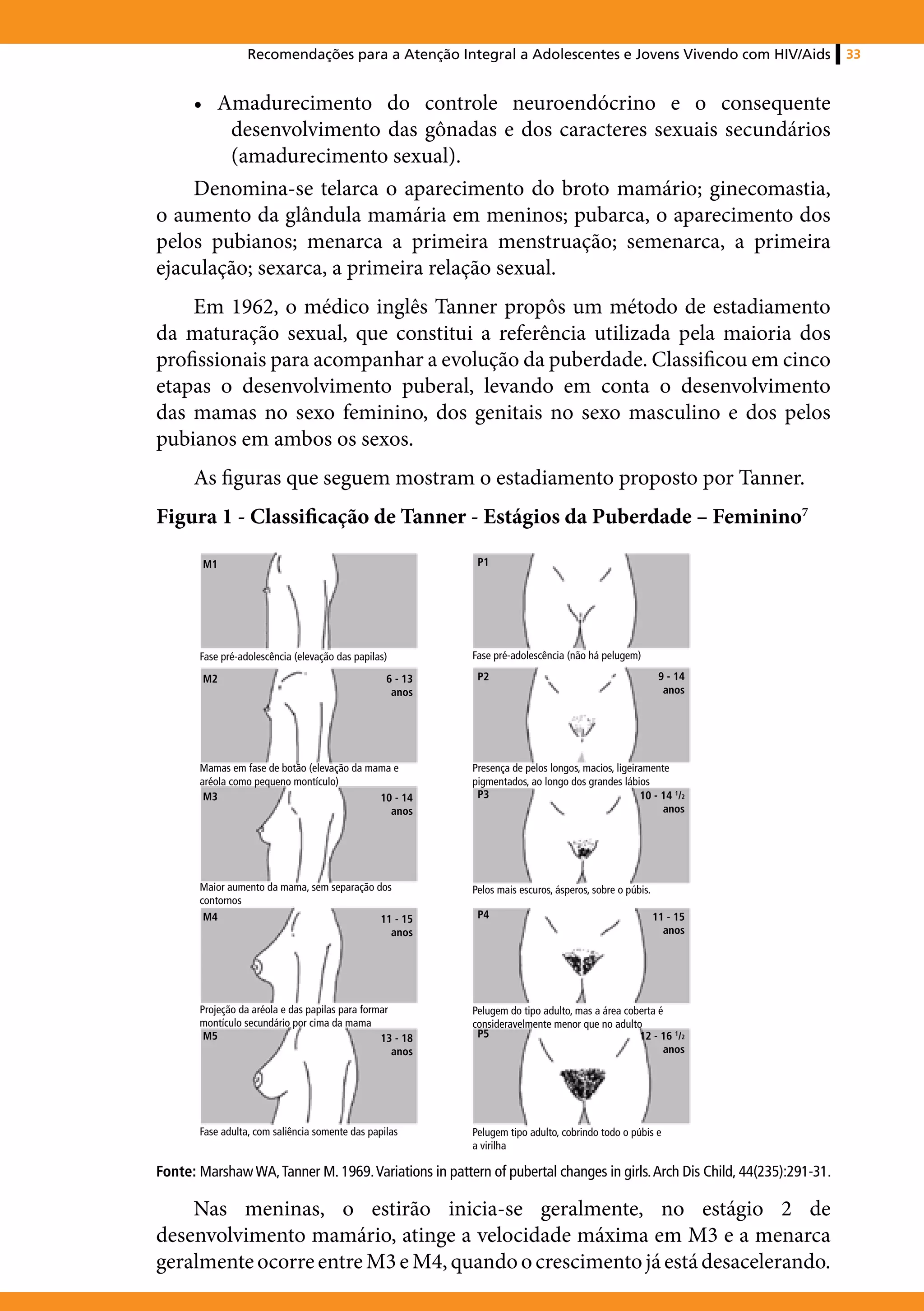 Recomendações para a Atenção Integral a Adolescentes e Jovens Vivendo com HIV/Aids                     33


    • Amadurecimento do controle neuroendócrino e o consequente
        desenvolvimento das gônadas e dos caracteres sexuais secundários
        (amadurecimento sexual).
    Denomina-se telarca o aparecimento do broto mamário; ginecomastia,
o aumento da glândula mamária em meninos; pubarca, o aparecimento dos
pelos pubianos; menarca a primeira menstruação; semenarca, a primeira
ejaculação; sexarca, a primeira relação sexual.
    Em 1962, o médico inglês Tanner propôs um método de estadiamento
da maturação sexual, que constitui a referência utilizada pela maioria dos
profissionais para acompanhar a evolução da puberdade. Classificou em cinco
etapas o desenvolvimento puberal, levando em conta o desenvolvimento
das mamas no sexo feminino, dos genitais no sexo masculino e dos pelos
pubianos em ambos os sexos.
      As figuras que seguem mostram o estadiamento proposto por Tanner.
Figura 1 - Classificação de Tanner - Estágios da Puberdade – Feminino7

        M1                                                  P1




       Fase pré-adolescência (elevação das papilas)        Fase pré-adolescência (não há pelugem)

        M2                                        6 - 13    P2                                            9 - 14
                                                   anos                                                    anos




       Mamas em fase de botão (elevação da mama e          Presença de pelos longos, macios, ligeiramente
       aréola como pequeno montículo)                      pigmentados, ao longo dos grandes lábios
        M3                                   10 - 14        P3                                     10 - 14 1/2
                                               anos                                                     anos




       Maior aumento da mama, sem separação dos            Pelos mais escuros, ásperos, sobre o púbis.
       contornos
        M4                                   11 - 15        P4                                           11 - 15
                                               anos                                                        anos




       Projeção da aréola e das papilas para formar        Pelugem do tipo adulto, mas a área coberta é
       montículo secundário por cima da mama               consideravelmente menor que no adulto
        M5                                       13 - 18    P5                                   12 - 16 1/2
                                                    anos                                               anos




       Fase adulta, com saliência somente das papilas      Pelugem tipo adulto, cobrindo todo o púbis e
                                                           a virilha

Fonte: Marshaw WA, Tanner M. 1969. Variations in pattern of pubertal changes in girls. Arch Dis Child, 44(235):291-31.

    Nas meninas, o estirão inicia-se geralmente, no estágio 2 de
desenvolvimento mamário, atinge a velocidade máxima em M3 e a menarca
geralmente ocorre entre M3 e M4, quando o crescimento já está desacelerando.
 