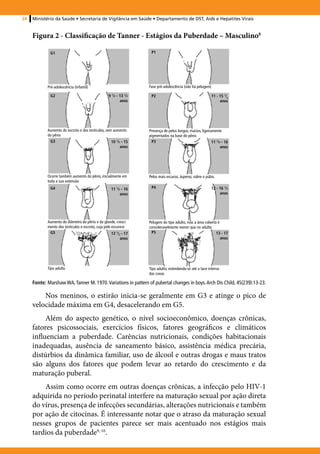 34   Ministério da Saúde • Secretaria de Vigilância em Saúde • Departamento de DST, Aids e Hepatites Virais


     Figura 2 - Classificação de Tanner - Estágios da Puberdade – Masculino8

             G1                                                       P1




            Pré-adolescência (infantil)                              Fase pré-adolescência (não há pelugem)

             G2                                     9 1/2 - 13 1/2    P2                                      11 - 15 1/2
                                                            anos                                                   anos




            Aumento do escroto e dos testículos, sem aumento         Presença de pelos longos, macios, ligeiramente
            do pênis                                                 pigmentados na base do pênis
             G3                                       10 1/2 - 15      P3                                     11 3/4 - 16
                                                            anos                                                    anos




            Ocorre também aumento do pênis, inicialmente em          Pelos mais escuros, ásperos, sobre o púbis.
            toda a sua extensão
             G4                                       11 /2 - 16
                                                         1            P4                                      12 - 16 1/2
                                                           anos                                                    anos




            Aumento do diâmetro do pênis e da glande, cresci-        Pelugem do tipo adulto, mas a área coberta é
            mento dos testículos e escroto, cuja pele escurece       consideravelmente menor que no adulto
             G5                                       12 1/2 - 17     P5                                       13 - 17
                                                            anos                                                  anos




            Tipo adulto                                              Tipo adulto, estendendo-se até a tace interna
                                                                     das coxas

     Fonte: Marshaw WA, Tanner M. 1970. Variations in pattern of pubertal changes in boys. Arch Dis Child, 45(239):13-23.

         Nos meninos, o estirão inicia-se geralmente em G3 e atinge o pico de
     velocidade máxima em G4, desacelerando em G5.
          Além do aspecto genético, o nível socioeconômico, doenças crônicas,
     fatores psicossociais, exercícios físicos, fatores geográficos e climáticos
     influenciam a puberdade. Carências nutricionais, condições habitacionais
     inadequadas, ausência de saneamento básico, assistência médica precária,
     distúrbios da dinâmica familiar, uso de álcool e outras drogas e maus tratos
     são alguns dos fatores que podem levar ao retardo do crescimento e da
     maturação puberal.
         Assim como ocorre em outras doenças crônicas, a infecção pelo HIV-1
     adquirida no período perinatal interfere na maturação sexual por ação direta
     do vírus, presença de infecções secundárias, alterações nutricionais e também
     por ação de citocinas. É interessante notar que o atraso da maturação sexual
     nesses grupos de pacientes parece ser mais acentuado nos estágios mais
     tardios da puberdade9, 10.
 