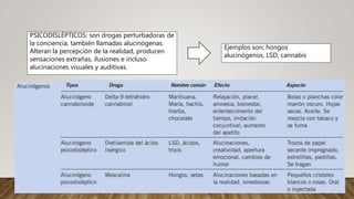 PSICODISLÉPTICOS: son drogas perturbadoras de
la conciencia, también llamadas alucinógenas.
Alteran la percepción de la realidad, producen
sensaciones extrañas, ilusiones e incluso
alucinaciones visuales y auditivas.
Ejemplos son: hongos
alucinógenos, LSD, cannabis
 