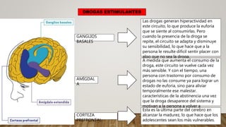 GANGLIOS
BASALES
Las drogas generan hiperactividad en
este circuito, lo que produce la euforia
que se siente al consumirlas. Pero
cuando la presencia de la droga se
repite, el circuito se adapta y disminuye
su sensibilidad, lo que hace que a la
persona le resulte difícil sentir placer con
algo que no sea la droga.
AMÍGDAL
A
A medida que aumenta el consumo de la
droga, este circuito se vuelve cada vez
más sensible. Y con el tiempo, una
persona con trastorno por consumo de
drogas no las consume ya para lograr un
estado de euforia, sino para aliviar
temporalmente ese malestar.
características de la abstinencia una vez
que la droga desaparece del sistema y
motivan a la persona a volver a
consumirla
DROGAS ESTIMULANTES
CORTEZA
PREFRONTAL
Esta es la última parte del cerebro en
alcanzar la madurez, lo que hace que los
adolescentes sean los más vulnerables.
 