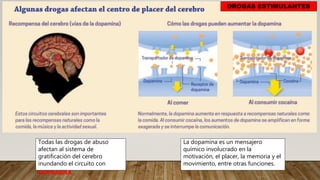 Todas las drogas de abuso
afectan al sistema de
gratificación del cerebro
inundando el circuito con
DOPAMINA
La dopamina es un mensajero
químico involucrado en la
motivación, el placer, la memoria y el
movimiento, entre otras funciones.
DROGAS ESTIMULANTES
 