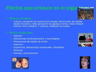 Efectos que produce en el organismo
• Efectos inmediatos
    – Euforia y sensación de aumento de energía, disminución del apetito,
      estado de alerta y falsa sensación de agudeza menta, mayor presión
      arterial, ritmo cardíaco, tª corporal, dilatación de pupila.

• Efectos a largo plazo
    –   Adicción
    –   Alteraciones cardiovasculares y neurológicas
    –   Alteraciones del estado de animo
    –   Insomnio
    –   Impotencia, alteraciones menstruales, infertilidad
    –   Paranoia
    –   Psicosis y alucinaciones
 