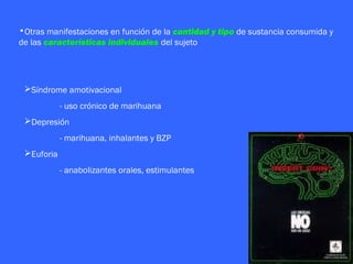 •Otras manifestaciones en función de la cantidad y tipo de sustancia consumida y
de las características individuales del sujeto




 Síndrome amotivacional
            - uso crónico de marihuana
 Depresión
            - marihuana, inhalantes y BZP
 Euforia
            - anabolizantes orales, estimulantes
 