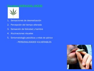 Cannabis: MARIHUANA, HACHIS




1. Sensaciones de desrealización
2. Percepción del tiempo alterada
3. Sensación de felicidad y hambre
4. Alucinaciones visuales
5. Sintomatología psicótica y crisis de pánico
         - PERSONALIDADES VULNERABLES
 
