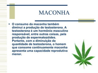 MACONHA O consumo da maconha também diminui a produção de testosterona. A testosterona é um hormônio masculino responsável, entre outras coisas, pela produção de espermatozóides. Portanto, com a diminuição da quantidade de testosterona, o homem que consome continuamente maconha apresenta uma capacidade reprodutiva menor. 