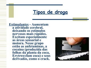 Tipos de droga Estimulantes  - Aumentam a atividade cerebral, deixando os estímulos nervosos mais rápidos. Excitam especialmente as áreas sensorial e motora. Nesse grupo estão as anfetaminas, a cocaína (produzida das folhas da planta da coca, Erytroxylum coca) e seus derivados, como o crack. 