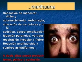 ...marihuana
Sensación de bienestar ,
  dicha y
adormecimiento, verborragia,
alteración de los colores y de
  la
acústica, despersonalización.
Ideación paranoica , vértigos,
respiración irregular y fiebre.
Reacción anafilactoide y
cuadros asmàtiformes.

A dosis altas puede producir
temor, pánico y confusión.
 
