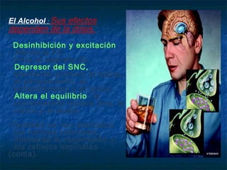 El Alcohol : Sus
              efectos
dependen de la dosis.
- Desinhibición y excitación .
- Afecta la FC
- Irrita el aparato GI.
- Depresor del SNC,
  afectando primero el habla,
  el pensamiento, el
  entendimiento y el juicio.
- Altera el equilibrio, la
  coordinación motora fina, la
  visión y el audio.
-También se ven afectados
  los centros inferiores,
  alterando la respiración y
  los reflejos espinales
(coma).
 