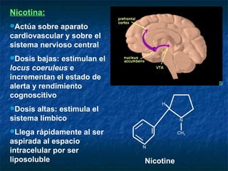 Nicotina:
Actúa sobre aparato
cardiovascular y sobre el
sistema nervioso central
Dosis  bajas: estimulan el
locus coeruleus e
incrementan el estado de
alerta y rendimiento
cognoscitivo
                                  H
Dosis altas: estimula el
sistema límbico                          N

Llega  rápidamente al ser               CH3

aspirada al espacio
                              N
intracelular por ser
liposoluble                   Nicotine
 