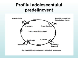 Profilul adolescentului
predelincvent
 