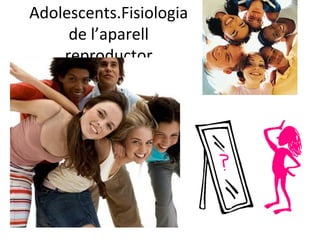 Adolescents.Fisiologia
     de l’aparell
    reproductor
 