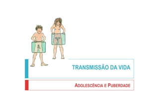 TRANSMISSÃO DA VIDA
ADOLESCÊNCIA E PUBERDADE
 