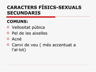 CARACTERS FÍSICS-SEXUALS SECUNDARIS COMUNS:  Vellositat púbica Pel de les aixelles Acné Canvi de veu ( més accentuat a l’al·lot) 