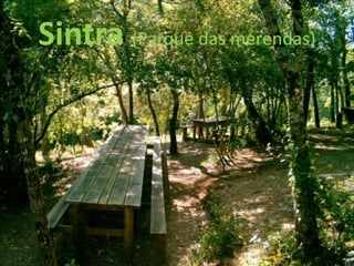 Sintra (Parque das merendas)
 